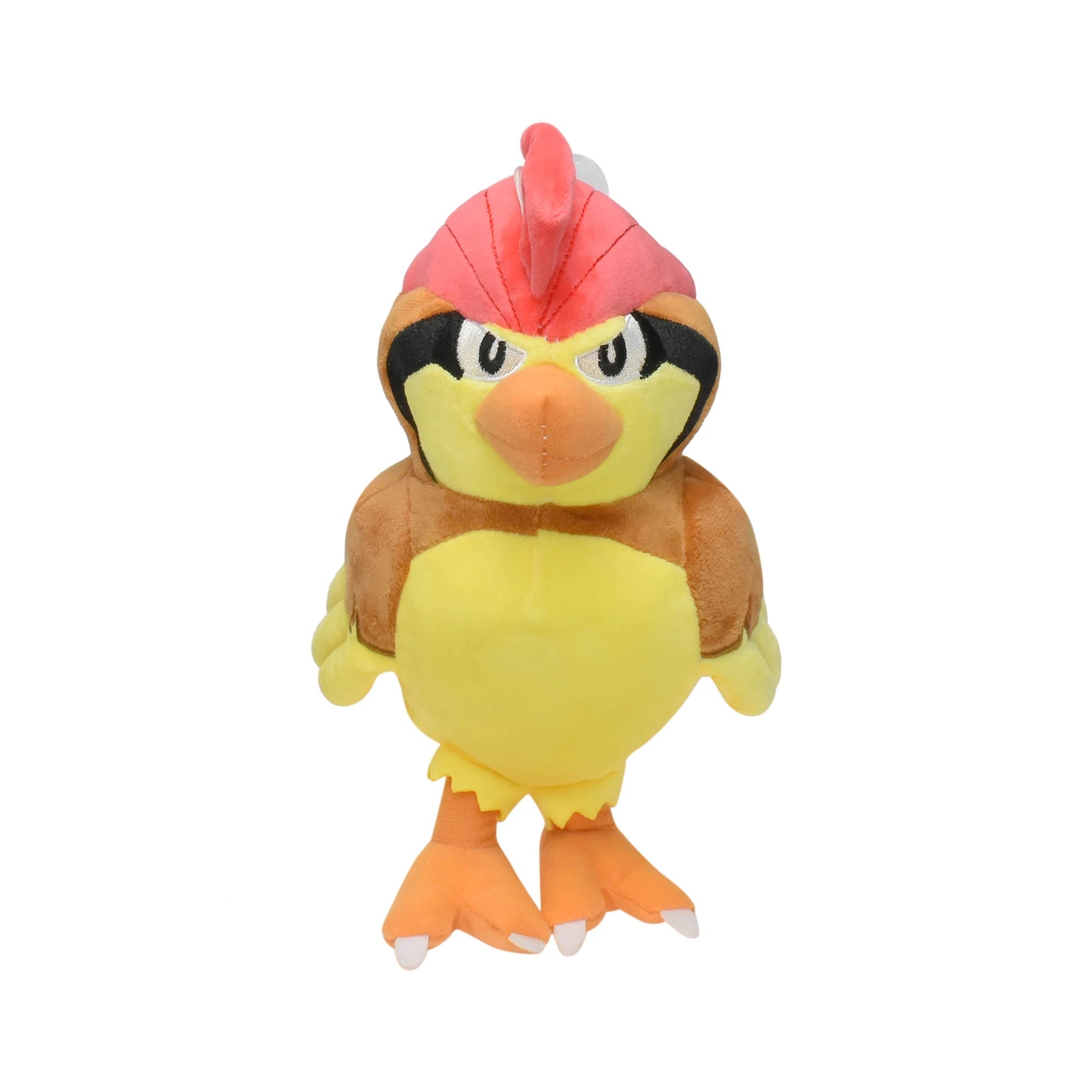 🌪️Pidgeotto🌪️